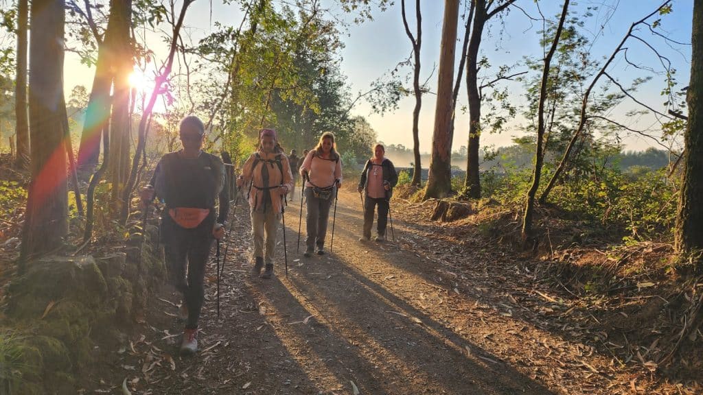 Peregrinos caminando en el Camino de Santiago desde Ferrol, rodeados de naturaleza y siguiendo la señal de la flecha amarilla hacia Santiago de Compostela.