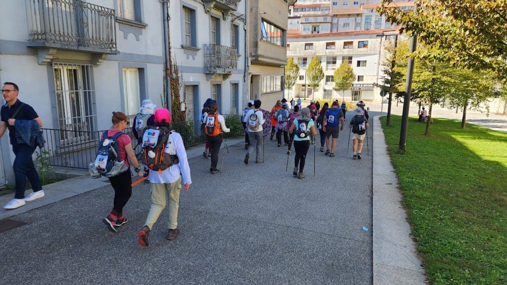 Grupo de peregrinos caminando juntos por el Camino de Santiago, disfrutando del paisaje verde y del apoyo mutuo. camino de santiago en grupo
