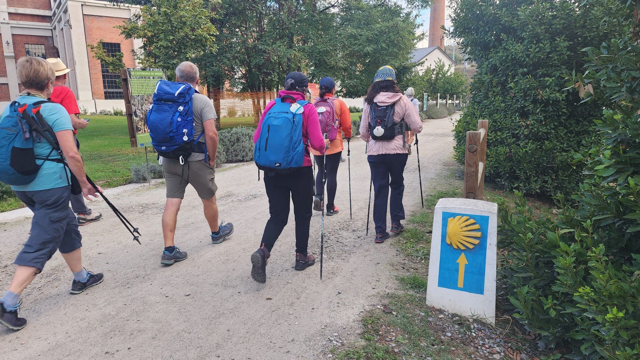 re caminando nunca caminaras solo camino de santiago